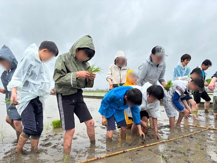 【滋賀地域交流】田植え体験をしました